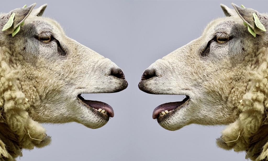 Quantum communication frequency waves