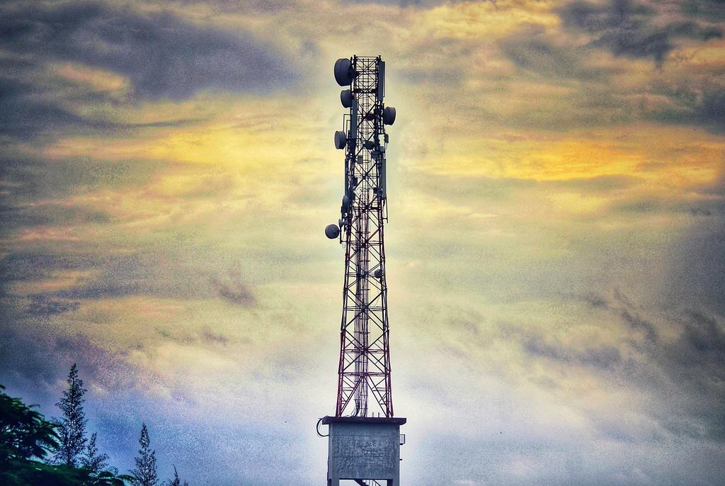 Photo of Alice Morgan, Founder & CEO